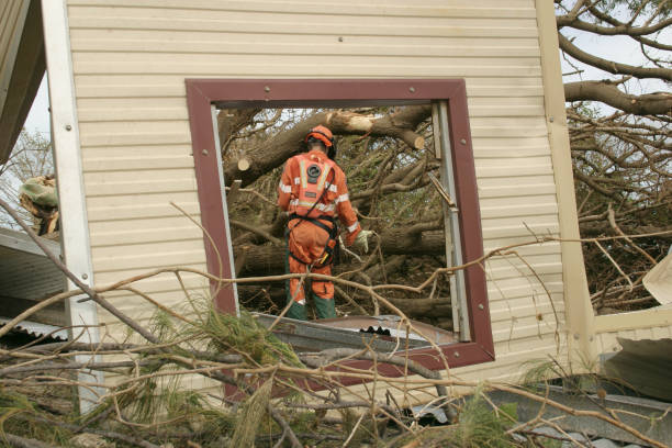 Best Tree and Shrub Care  in Macon, MO